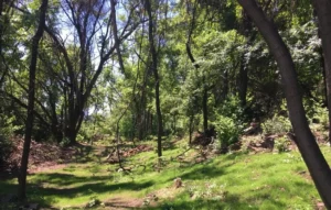 Community members gathered in newly developed urban green space