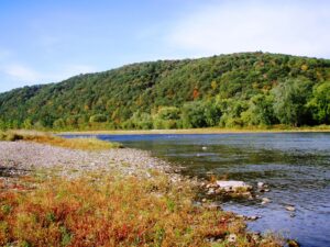 Allegheny River near Tionesta - photo courtesy of Western Pennsylvania Conservancy