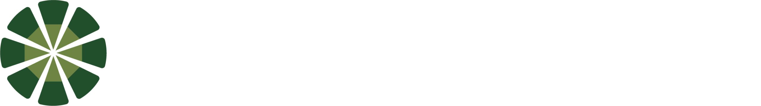 Colcom Foundation Logo